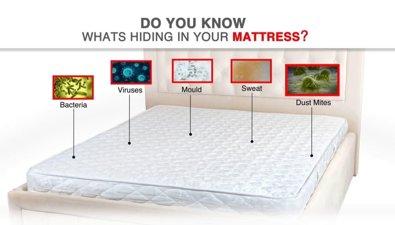 Fidato Double Bed Mattress Protector Sheet with 2 Pillow Protector - Premium  from Roposo Clout - Just $750! Shop now at Mystical9