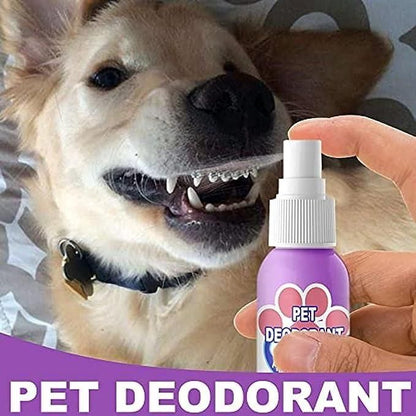 Oral Spray For Dogs & Cats - Premium  from Roposo Clout - Just $600! Shop now at Mystical9